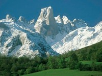 Picos de Europa